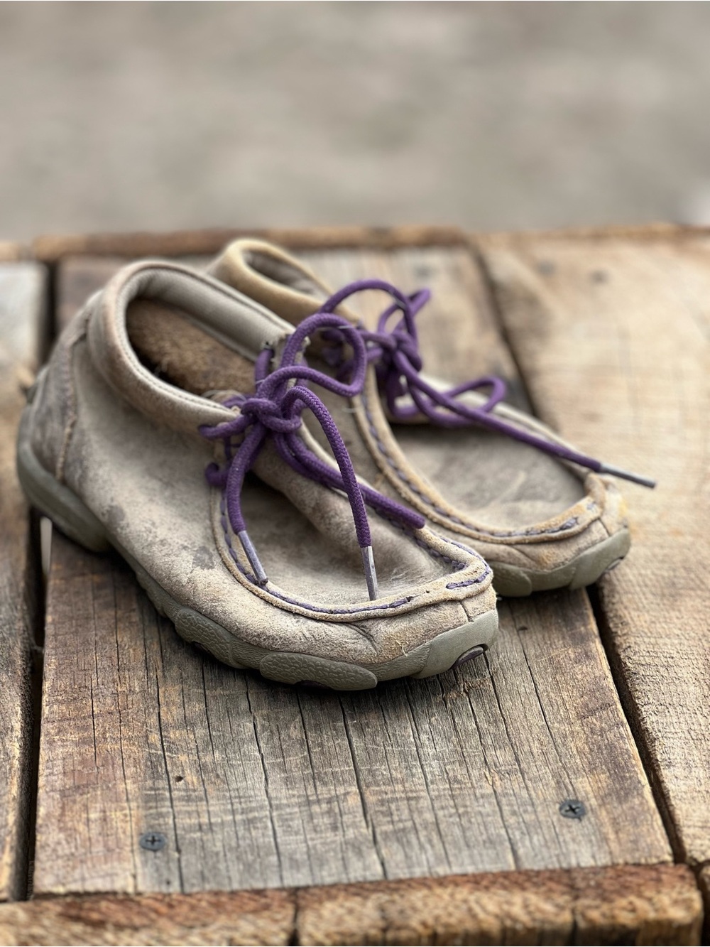 Timberland Taupe Suede Shoes with Purple Laces